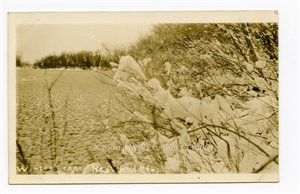 Image description is not available for PHO-264-615